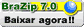 Download BraZip 9.0
